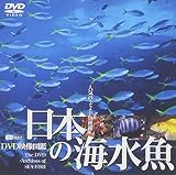 ���{�̊C���� DVD�f���}��