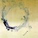 Loop          (CCCD)