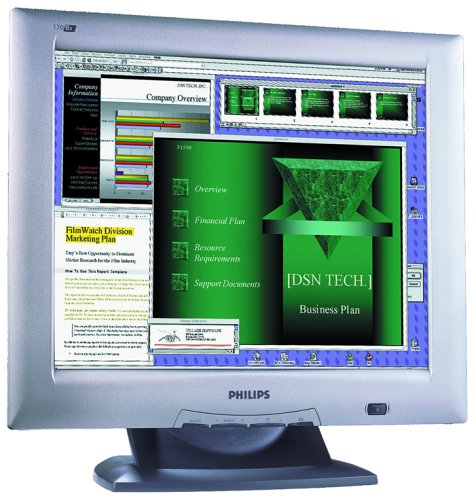 Projektoren: Philips 170B2Y 17-Zoll TFT-Monitor silber/schwarz (DVI)