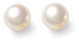 14k White Gold Freshwater Cultured Pearl 6.0-6.5mm Earrings
