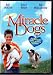   - Miracle Dogs