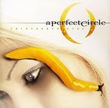 Lyrics to the A Perfect Circle album Thirteenth Step