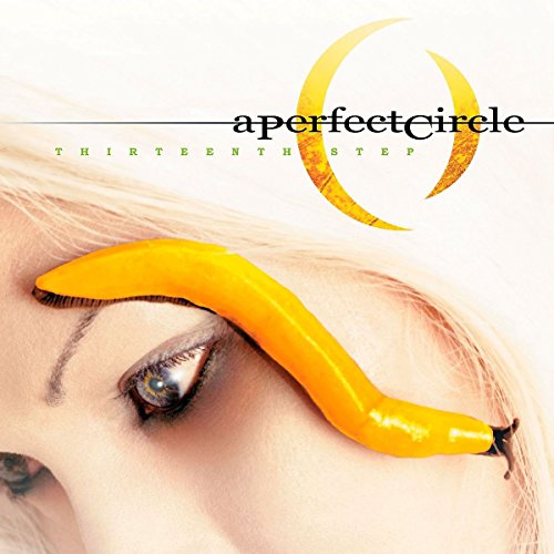 Thirteenth Step by A Perfect Circle album cover