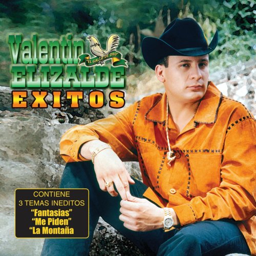 Valentin Elizalde - Satisfaccion Lyrics - Zortam Music