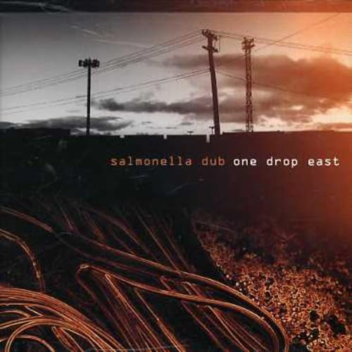 Salmonella Dub - Dub Survivor Lyrics - Zortam Music