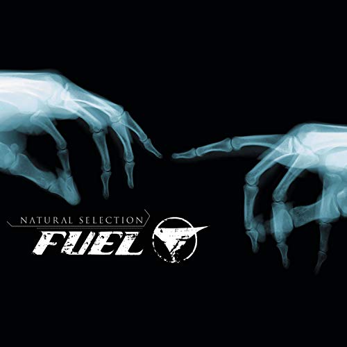Fuel - These Things Lyrics - Zortam Music