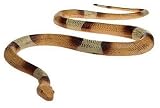 60" Foam Snake