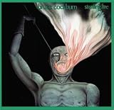 Stealing Fire by Bruce Cockburn