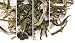 Green Teas Sampler, 6 tins