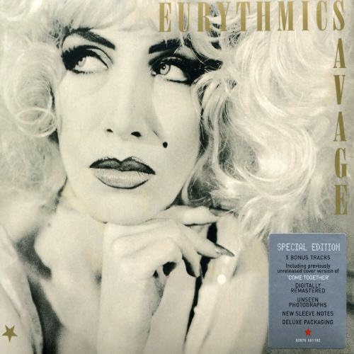 Eurythmics - Put the Blame on Me Lyrics - Zortam Music