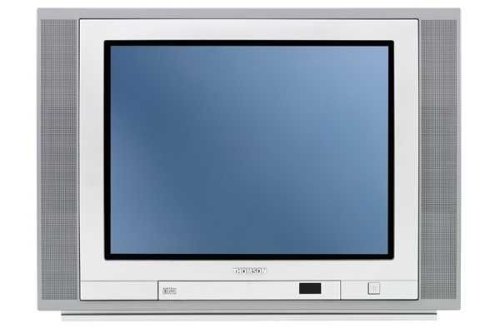 TV Ger&auml;te: Thomson 21 DX 210 S 4:3 Format 50 Hertz Fernseher