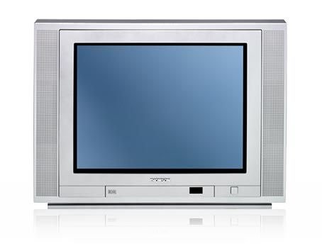 TV Ger&auml;te: Thomson 21 EX 215 S 4:3 Format 50 Hertz Fernseher