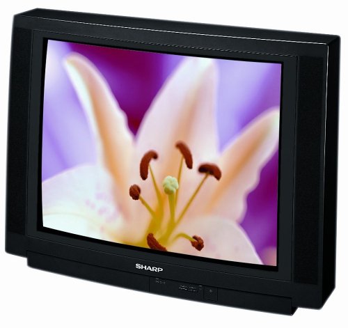 Festplatten: Sharp 28 JS-75 E 4:3 Format 100 Hertz Fernseher