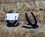 Horseshoe Business Card Holder