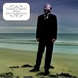 Bullet Theory / She Drove Me to Daytime Televsion