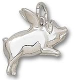 Flying Pig