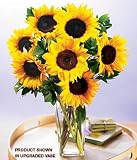 Flowers - Sunflower Radiance Bouquet