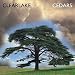 Cedars