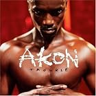 Trouble [CLEAN] by Akon
