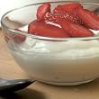 Yogurt Starter - Regular