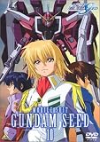 機動戦士ガンダムSEED 10