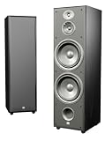 JBL Northridge E100 3-Way Dual 10-Inch Floorstanding Speaker, Single (Black Ash)