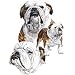 English Bulldog T Shirts