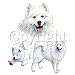 Search : Samoyed Adult T-Shirt