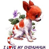 I Love My Chihuahua Youth Sweatshirt