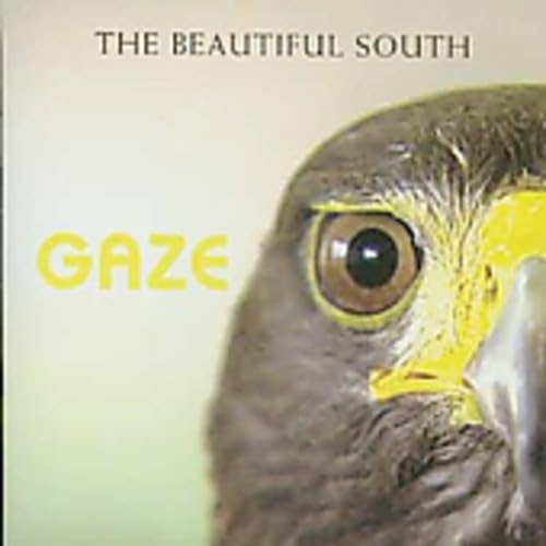 Gaze