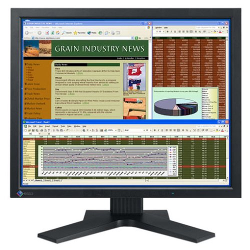 Drucker: Eizo L795-K 19-Zoll TFT-Monitor schwarz/anthrazit (DVI)