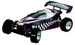 Zubehoer: 2WD und 4WD Off-Road Buggy