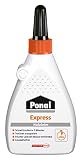 Projektoren: Ponal Express 120G Pn15X