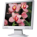Acer AL1713m Monitor LCD-TFT 17.0' 1280 x 1024 Audio TCO99