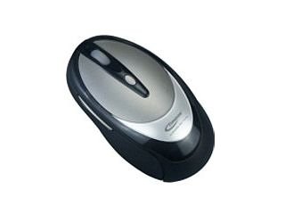 Elektronik Und Foto: Anubis Typhoon Wireless Office Mouse Maus schnurlos 5 Tasten 400dpi + Tastenrad schwarz-silber