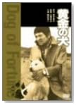 黄金の犬