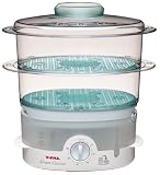 T-Fal VC1001002 Ultra-Compact Steamer