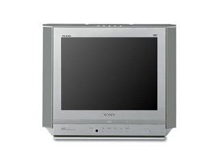 Festplatten: Samsung DW 21 G 6 VD 4:3 Format 50 Hertz Fernseher