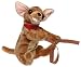   - Humphrey the Humping Dog