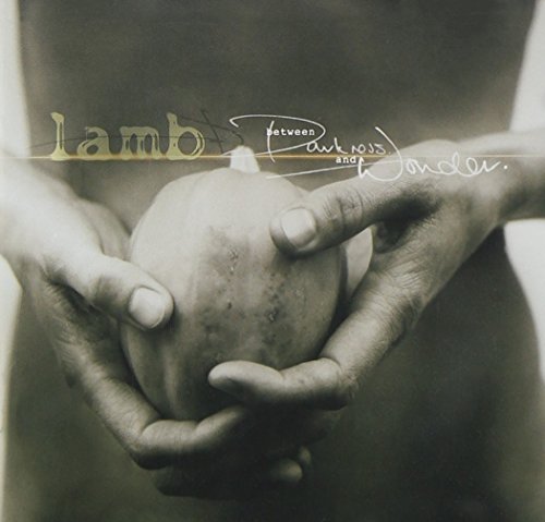 Between Darkness and Wonder by Lamb album cover