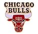 Chicago Bulls Logo Pin by Aminco