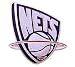 New Jersey Nets Logo Pin by Aminco