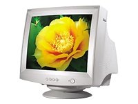 Acer AC915 Monitor 19' 1600 x 1200 75Hz digt OSD TCO 03
