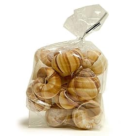 snail shells
