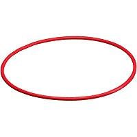 DVD Player: Olympus POL-019 O-Ring f�r PT-019