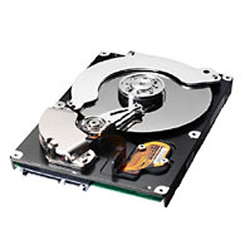 Festplatten: Samsung 80GB SP0812C S-ATA 7.200 8 MB Cache interne Festplatte Bulk