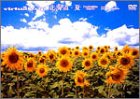 virtual trip �k�C��