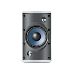 Polk Atrium 65DSI outdoor speakers are sold individually!