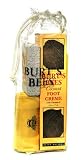 Burts Bees Foot Care Kit Burts Burts Coconut Foot Crème and Pumice Stone Natural Beauty Cosmetics Skin Care Therapeutic Botanical Kit