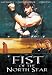 Fist of the North Star (1995)